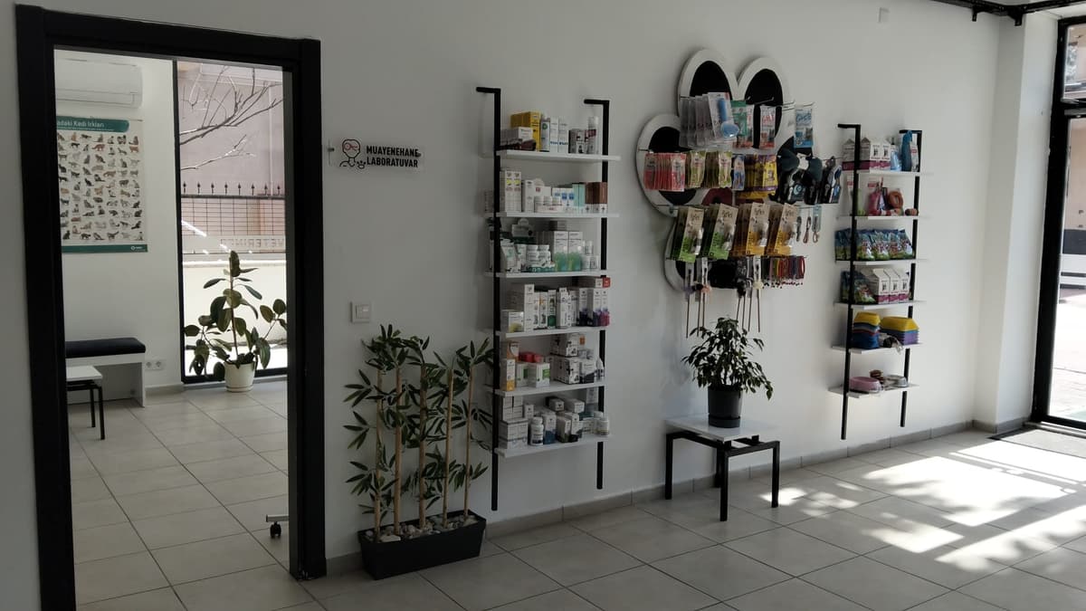 Bolu Uğur Veteriner Kliniği iç mekan görünümü 2