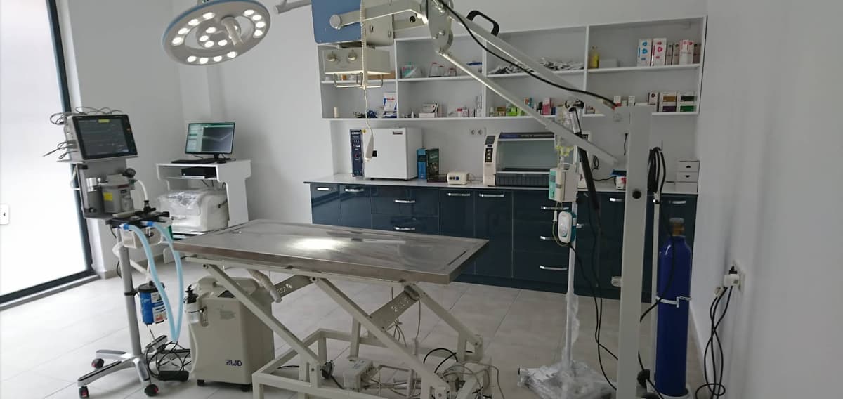 Bolu veteriner ameliyathane - Uğur Veteriner Kliniği cerrahi operasyon odası