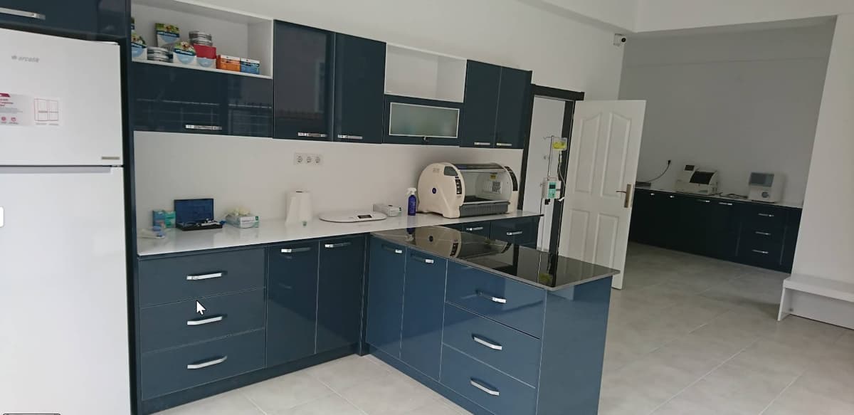 Bolu veteriner kliniği iç mekan - modern muayenehane