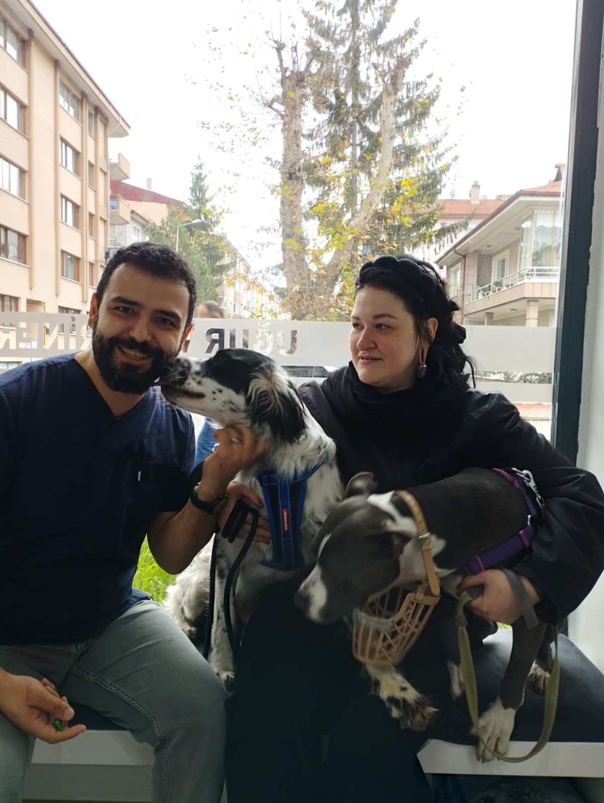 Bolu veteriner köpek tedavisi - sağlık kontrolü