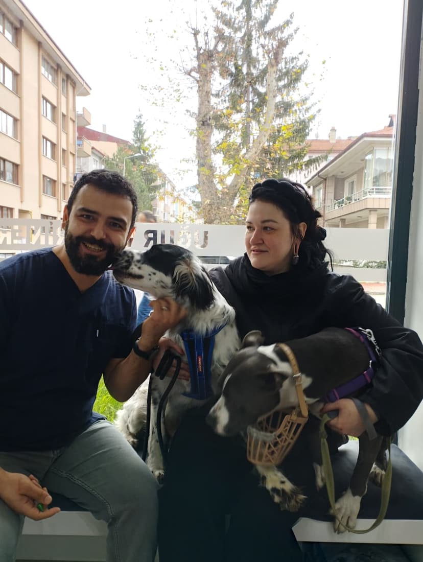 Bolu veteriner köpek tedavisi - sağlık kontrolü